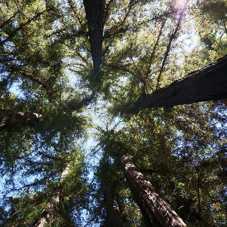 Riverside Campground & Cabins Big Sur Exterior foto